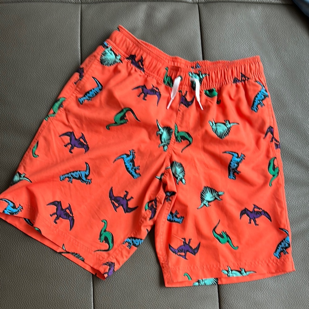 Hanna Andersson Dinosaur Swim Trunks